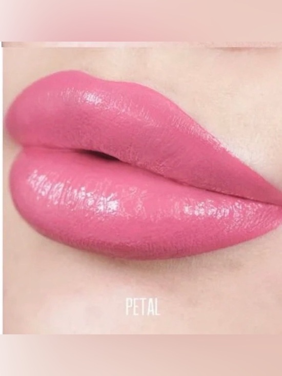 Bodyography Other - Bodyography PETAL Lip Lava Liquid Lipstick Soft Pink Matte NEW PC